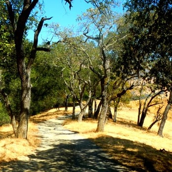 Sunol Regional Wilderness Area - Trail. - Parks Near Me - Sunol, California Sunol Regional Wilderness Area - Trail. - Parks Near Me - Sunol, California