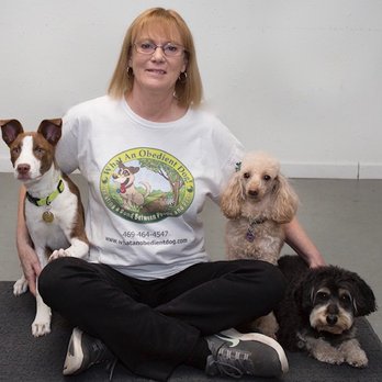 What An Obedient Dog! - Pet Training Near Me - Carrollton, Texas What An Obedient Dog! - Pet Training Near Me - Carrollton, Texas