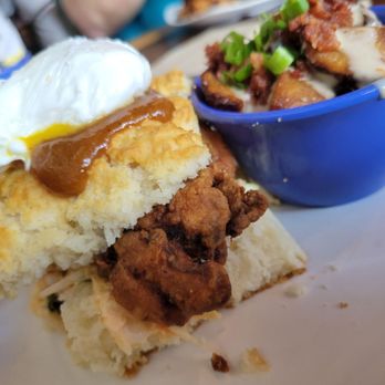 Biscuit Head - Mimosa chicken and loaded homefries - Bakeries Near Me - Asheville, North Carolina Biscuit Head - Mimosa chicken and loaded homefries - Bakeries Near Me - Asheville, North Carolina