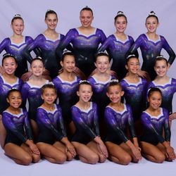 Choice Gymnastic
