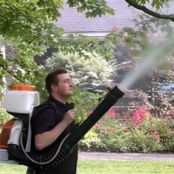 Certified Pest Control - Pest Control Near Me - Nashville, Tennessee Certified Pest Control - Pest Control Near Me - Nashville, Tennessee