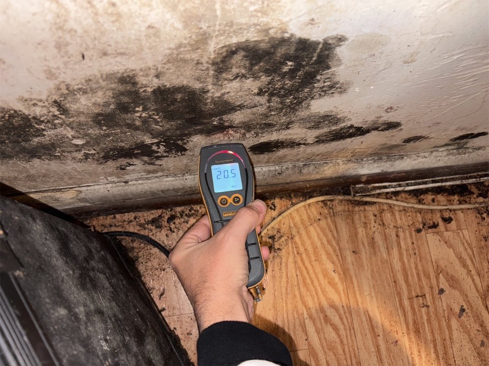 Ocean Air Quality - mold inspector in Palm Coast, FL
