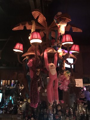 Bobby's Monkey Bar by null