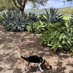 Canyon View Park