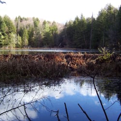 High Pocket Farm Bed & Breakfast - The incredible beaver dam in the trails behind High Pocket BB&B. 2004
