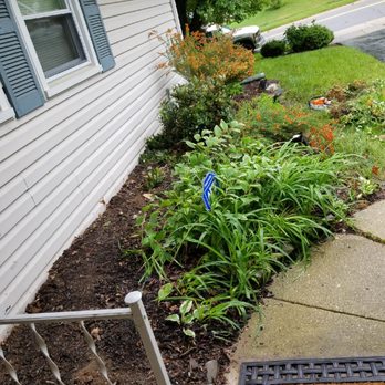 Chavez Tree Service - the entrance to a home - Tree Services Near Me