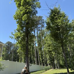 DeForest Tree Service
