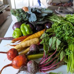 Freshness Farms - Veggies