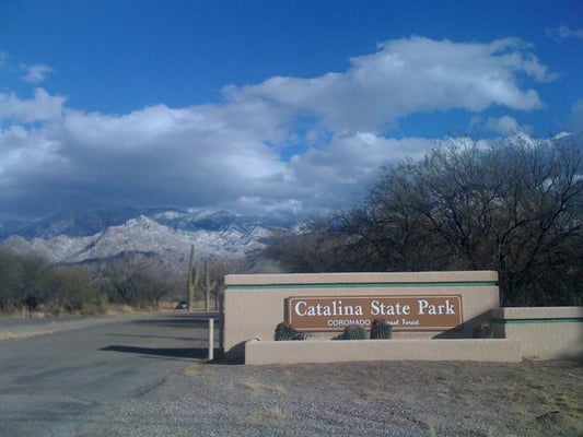 Catalina State Park by null