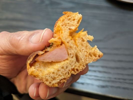 Year of the Snake by null