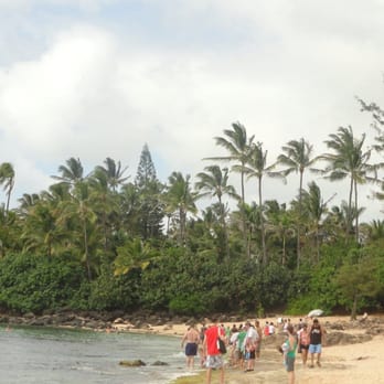 Laniakea Beach - Beaches Near Me - Haleiwa, Hawaii Laniakea Beach - Beaches Near Me - Haleiwa, Hawaii