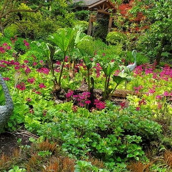 Green Leaf Landscaping & Construction - What 20 years of loyalty & dedication looks like. - Landscaping Near Me - Shoreline, Washington Green Leaf Landscaping & Construction - What 20 years of loyalty & dedication looks like. - Landscaping Near Me - Shoreline, Washington