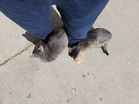 Pat's Fisherman's Wharf Restaurant by null