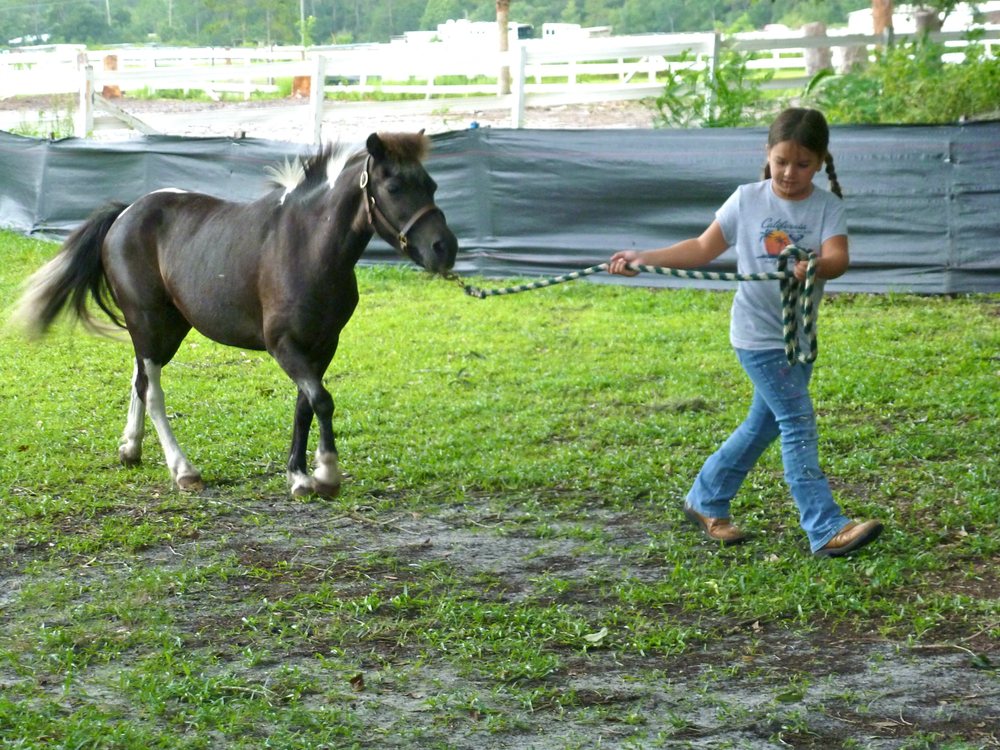 MARCODY RANCH Updated August 2024 3804 Pioneer Trl, New Smyrna