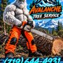 Avalanche Tree Service