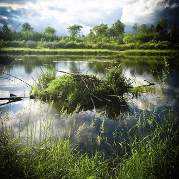 William O'Brien State Park - Beaver dam - Parks Near Me - Marine on Saint Croix, Minnesota