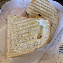 This is a panini? This is a panini?