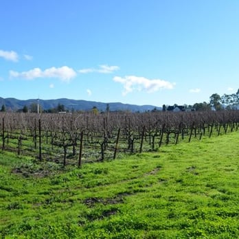 Judd's Hill Winery - The vineyard - Wineries Near Me - Napa, California Judd's Hill Winery - The vineyard - Wineries Near Me - Napa, California