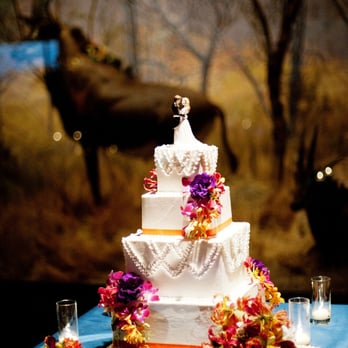 Fantasy Frostings - Custom Cakes Near Me Fantasy Frostings - Custom Cakes Near Me