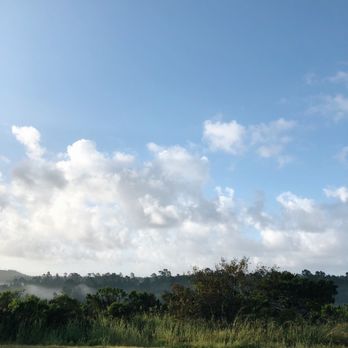 San Simeon State Park & Campground - The view from our Washburn site after a night of rain. - Parks Near Me - Cambria, California San Simeon State Park & Campground - The view from our Washburn site after a night of rain. - Parks Near Me - Cambria, California