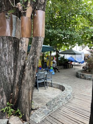 Cruz Bay Landing by null