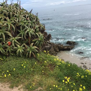 Asilomar State Beach - Beautiful - Parks Near Me - Pacific Grove, California Asilomar State Beach - Beautiful - Parks Near Me - Pacific Grove, California