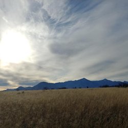 Lehner Mammoth Kill Site - View west toward mountains