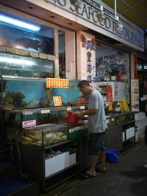 Lamma Island by null