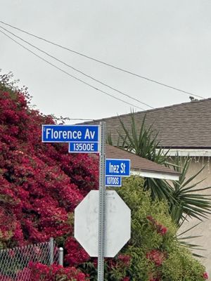 PARAMOUNT RECOVERY - Updated February 2026 - 31 Photos & 38 Reviews ...