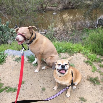 Doug's Dog Walking - Nikki with friend. - Dog Walkers Near Me - San Diego, California Doug's Dog Walking - Nikki with friend. - Dog Walkers Near Me - San Diego, California