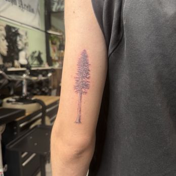 Queens of Needles - Redwood Tree Tattoo - Tattoo Near Me - Northridge, California Queens of Needles - Redwood Tree Tattoo - Tattoo Near Me - Northridge, California