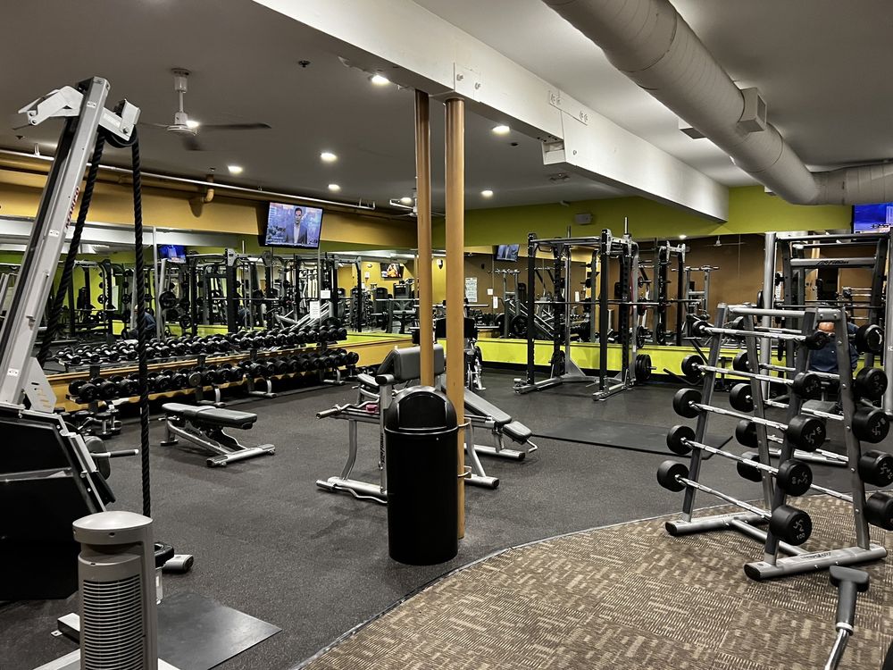 Anytime Fitness Logo