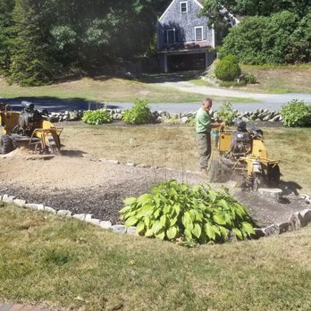 Champion Tree Work - Stump grinding team at work - Tree Services Near Me - Yarmouth Port, Massachusetts