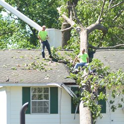 Kachur Tree Service