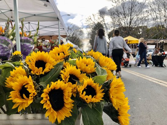 Santa Clara Farmers Market by null