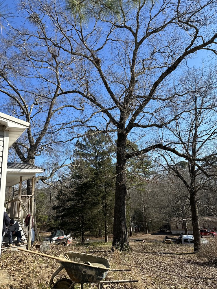Alabama Tree Pros - tree service in Trafford, AL