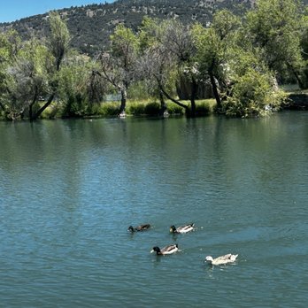 4 Island Lake - Fishing Near Me - Tehachapi, California