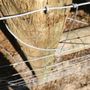 Photo of Straight Arrow Fence