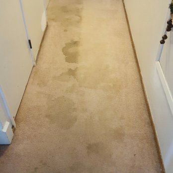 All Pro Carpet Solutions - Carpet Cleaning Near Me