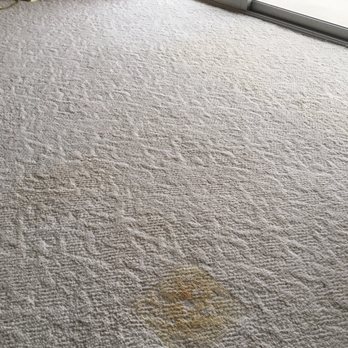 Captain Carpet Care - Random stain ... all these stains were still present after the first carpet cleaning ... not great. - Carpet Cleaning Near Me
