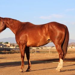 Rocky Peak Ranch