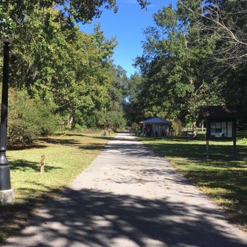 Withlacoochee State Forest - Hiking Near Me - Webster, Florida