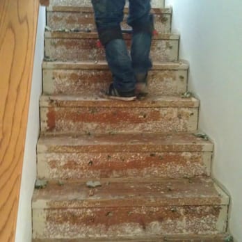 Specialty Hardwood Floors - Stairs - During - Flooring Near Me Specialty Hardwood Floors - Stairs - During - Flooring Near Me