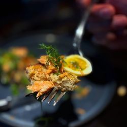 Obelix - Smoked trout tartine, lemon pepper crème fraiche, grilled wild onions, trout roe, quail egg, petite salad.