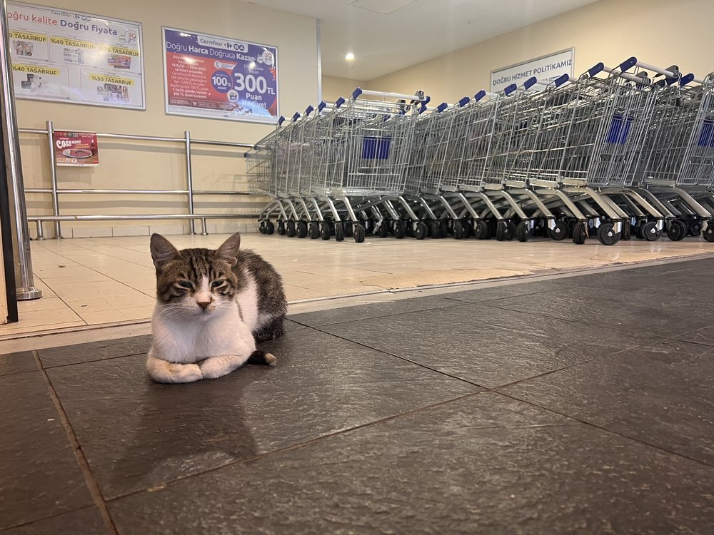 Forum İstanbul Alışveriş Merkezi