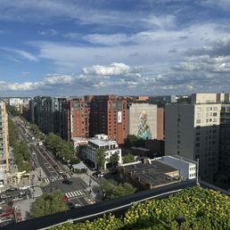 East view from the balcony