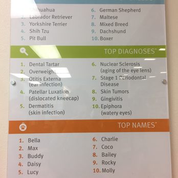 petsmart banfield puppy plan