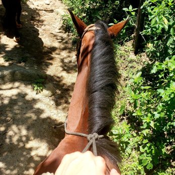 Vallarta Excursions - Horse trail, after snorkeling - Tours Near Me - Bahía de Banderas, NAY