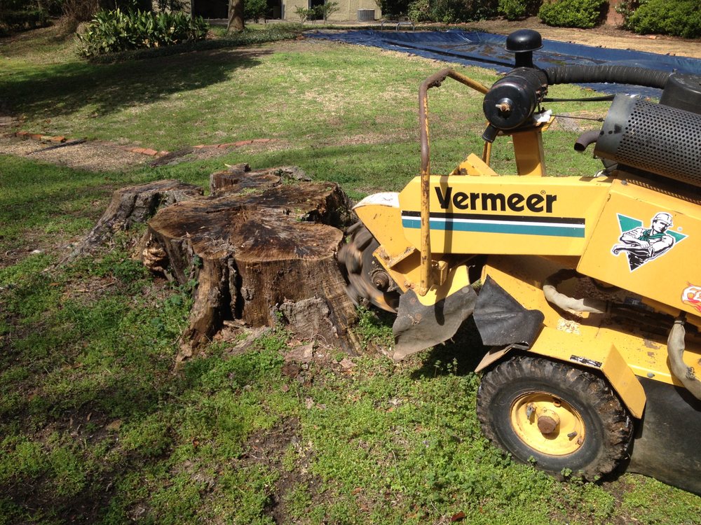 A1 Stump Grinder Service - tree service in Montgomery, AL