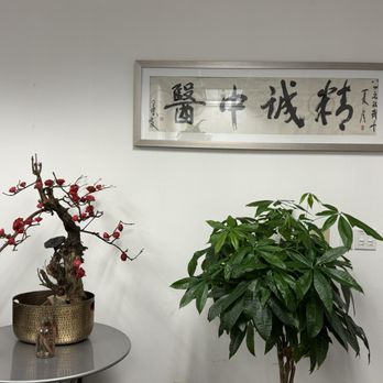 STCM Acupuncture Clinic - 精诚中医 - Acupuncture Near Me - Sunnyvale, California STCM Acupuncture Clinic - 精诚中医 - Acupuncture Near Me - Sunnyvale, California